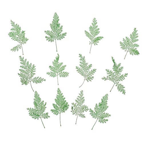 Hojas Secas Naturales 48 Pzs para Manualidades DIY miniatura 1