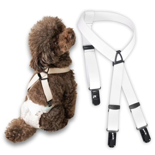 [KASAJIMA] hbOTXy_[ NEWYw_[ Ic}i[xĝ藎h~ (VL, zCg)