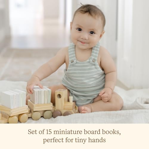 Image of My Little Locomotive Library: Our Little Library 15-Book Box Set (Tabitha Paige Children's Book Series)
