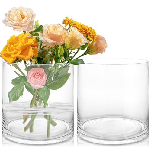Oungy 2 Stück Glasvase Gross, Glasvase Zylinder 20cm Hoch, Glaszylinder für Kerzen, Glaszylinder Ohne Boden Kerzenglas Klarglas Zylindervase für Hochzeiten Veranstaltungen Dekoration Dekoration Center