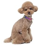 TMOODEL Reflective Dog Collar for Small Dogs Cats, Cute Leopard Style Adjustable Heavy-Duty Nylon Puppy Collar for Boy and Girl Female, Soft Pet Accessories with Quick Release Buckle, Neon