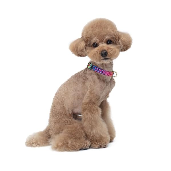 TMOODEL Reflective Dog Collar for Small Dogs Cats, Cute Leopard Style Adjustable Heavy-Duty Nylon Puppy Collar for Boy and Girl Female, Soft Pet Accessories with Quick Release Buckle, Neon