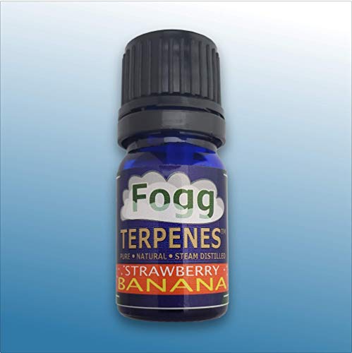 FOGG TERPENES Strawberry Banana | Natural | Organic | Pure Terpenes (5ml)
