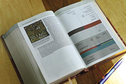 NIV, Biblical Theology Study Bible, Imitation Leather, Tan/Brown, Comfort Print: Follow God's Redem