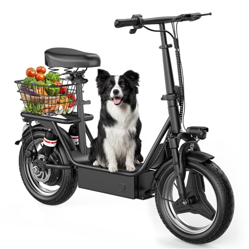 ASKGO Electric Scooter with Seat