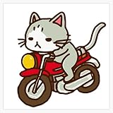 cat Riding a Motorcycle Sticker Decal Car Window Water Bottle 5'
