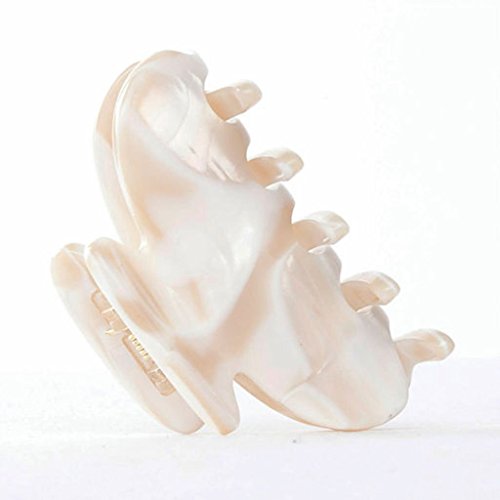 Ficcare Small Luxor Jaw Clip Alba #TOP12