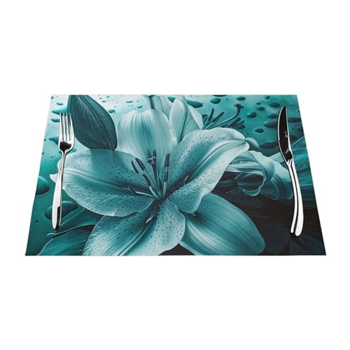 Sets de table en PVC lavables bleu sarcelle lot de 6 - 2