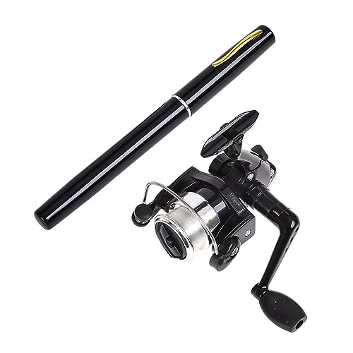Pen Fishing Rod Kit, 39 Inch Mini Fishing Pole Portable Telescopic...