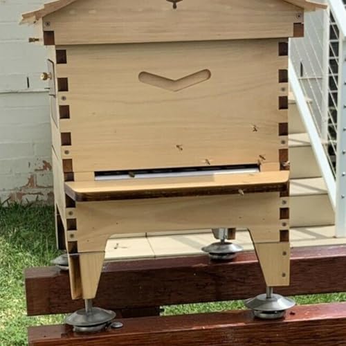 Suportes para colmeia de abelha, suporte para colmeia,Suporte para colmeia de metal com pés para col