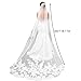 Ivory Lace Edge Bridal Veil with Comb, 118 Inches Length Tulle, Embroidery Lace Edge Layer Wedding Veil, Hair Accessories