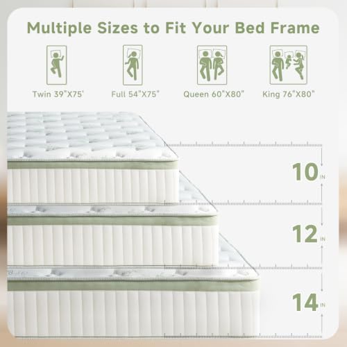 Queen Mattress 12 Inch,Medium Firm Hybrid Queen Size Mattress in a Box, Memory Foam with Individual Pocket Springs, Upgrade Zoned Support, Motion Isolation&Pressure Relief, CertiPUR-US — view 6