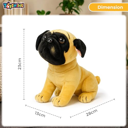 Image of Toyshine 23cm Cute Sitting Puppy Soft Toy | Adorable Plush Dog Stuffed Animal | Ultra Soft & Huggable Kids Toy | Perfect for Boys, Girls, Toddlers & Home Decor