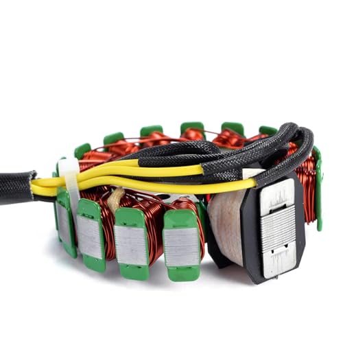 Bobine de stator d'allumage pour YFB250 Timberwolf de qualité supérieure