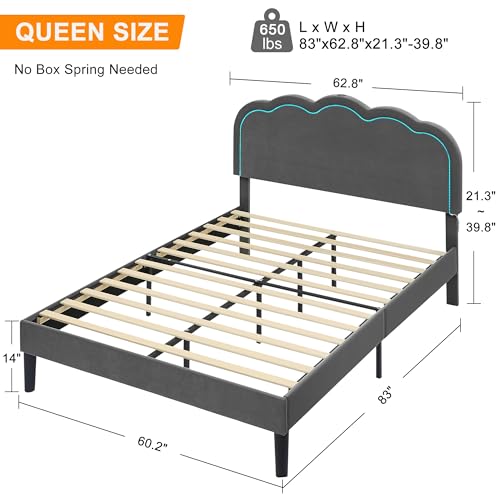 VECELO Upholstered Queen Size Bed Frame with Headboard Adjustable, LED Lights, USB-A & Type-C, Velvet Platform Bed Noise Free, Mattress Foundation with Wooden Slats, No Box Spring Needed, Dark Grey