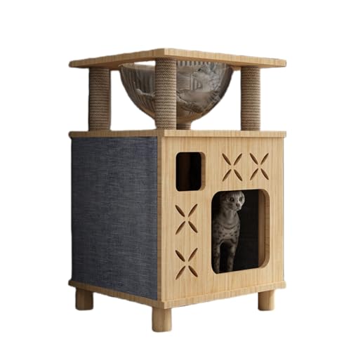 WXQLbg^[ AؐL̑ u 萫 ȃXy[XALxbhA VRR̒܂ƁALXAϖՐAgݗĂȒPAWvAoAA@\̌^ALɉvCx[gȋԂ񋟂AƂɗnݒpI (^CvE)