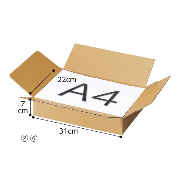 Amazon.co.jp: 【10枚】ワンタッチ段ボール 約3mm厚 幅31×奥行22