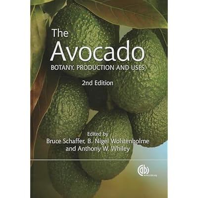 Avocado, The