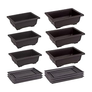 6Sets Bonsai Training Potten en Trays, Rechthoekige Plantenpot, Plastic Bonsai Trainingspatronen, Vetplanten Bloem Succulente Potten met Trays, Duurzame Planten Kweekpotten Container voor Tuin, Indoor