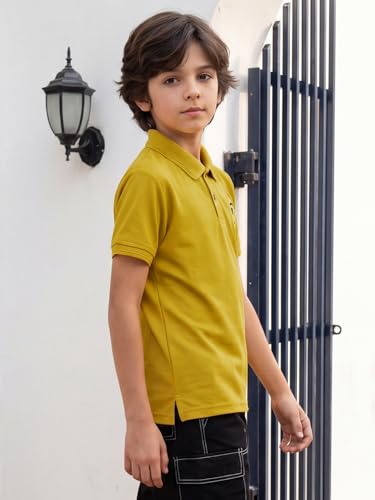 Image of Li'l Tomatoes Boys Sports Polo T-Shirt Polyester Casual Summer Tee | inchGolf Player inch Printed Collar Neck T-Shirt | Lightweight & Breathable Half Sleeve Sports Wear | Stylish Polo Tee | 9-16 Years