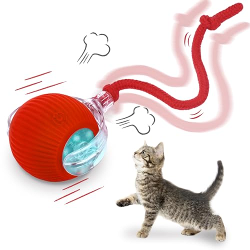 Moterej Interactive cat Toys for Indoor Cats Speedy Tail 3.0 Cat Toy Motion Activate cat Toy BallAutomatic Toys for Bored Indoor Cats Speedy Tail 2.0 Cat Toy Rechargeabl (Red)