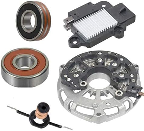 Alternator Rebuild Kit for 2008-2010 Ford Super Duty 6.4L Dual Alternator System Secondary Unit Regulator Brushes Bearings Rectifier Slip Rings - 8522RK