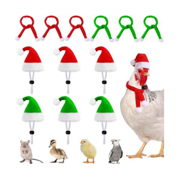Junebrushs 12 pcs mini santa hats,christmas pet chicken hat scarf set red green small animal hat with adjustable for poultry hen rooster hamster duck lizard guinea pigs