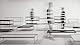 Kartell Trays, weiß, 40 x 25.3 x 80 cm