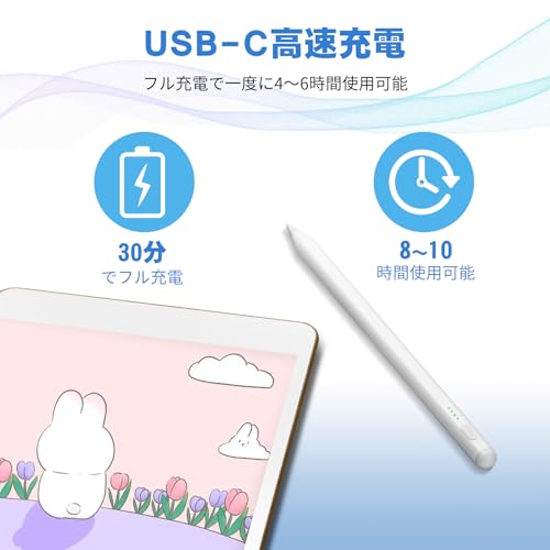 FFOGG iPad ペンシル P-DRB-077-9 の商品画像 3