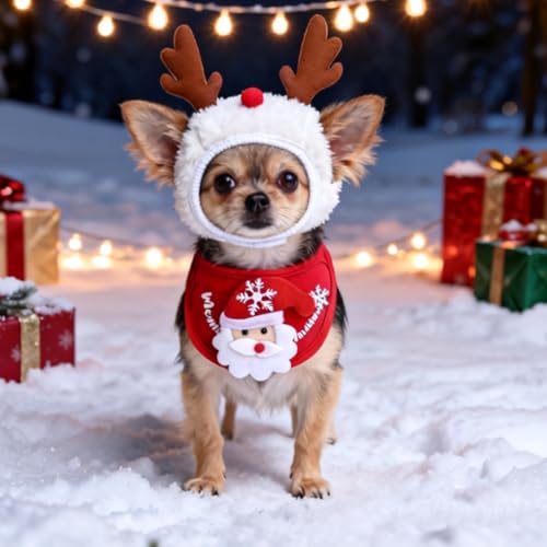 Disfraz Navideño 2 Pzas Para Perro Gato Pequeño-Mediano