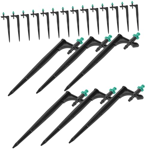 LAPYAPPE 20 \XvN[UmY |p}~XgmY n`Ήʎp ʒ߉\K[f