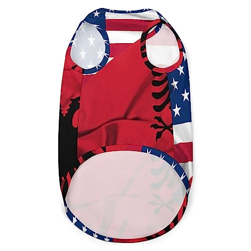 Sventolando Bandiera di Albania e USA Divertente