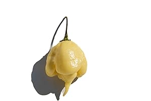 White Carolina Reaper Seeds - World's Hottest Pepper for Seasoned Gardeners