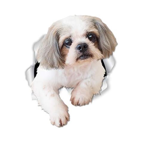Winston & Bear Shih Tzu Wall Decals - 2 Pack Cover