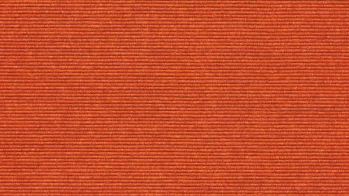 Tretford Teppichboden Interland 2 Meter Breit vorgegebene Größen Farbe 585, Größe 300cm