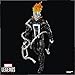 Marvel Legends Series Ghost Rider (Robbie Reyes), All-New Ghost Rider and Avengers Comics Collectible 6-Inch Scale Action