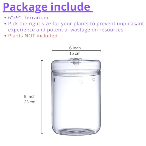LaLaGreen Indoor Planter (6x9 Inch) Small Glass Terrarium Jar with Lid for Succulent Plants, Reptile Cactus Mini Fern Fairy Moss Tabletop Decoration Container Pot Kitchen Office Home Garden Decor - Image 3
