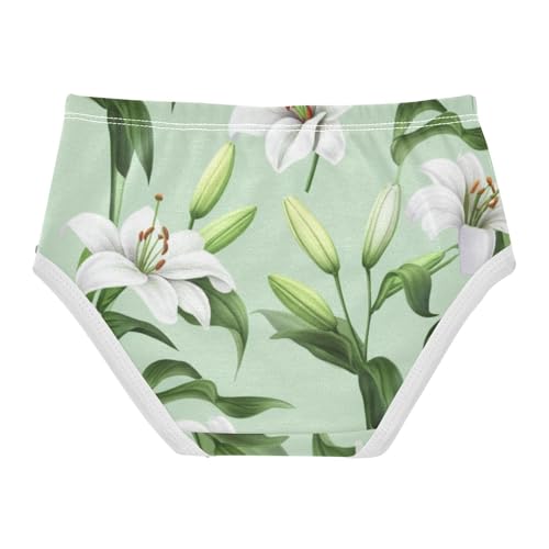 Painted White Lilies Sage Green Toddler Underwear Custom 2t Cotton Girl Panties Cute Print Briefs Undies Kids2