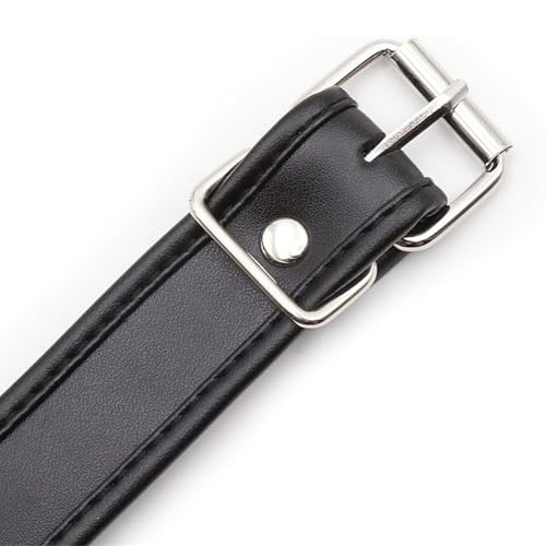 FANSEELM BDSM Bondage Halsband Weiblich Punk Leder SM Halsband mit O-Ring Einstellbare Halskette Sklave Sexspielzeug (Schwarz)