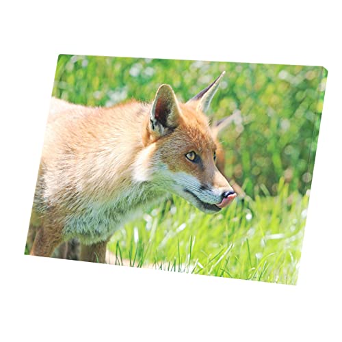 Tableau Renard Roux Tire la Langue - Toile Imprimée Nature Prairie 42x30 cm