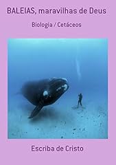 Capa de Baleias, Maravilhas De Deus