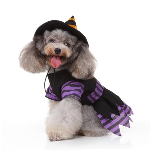 Disfraz Halloween Bruja para Perro Talla L