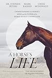 A Horse's Life: The Neuroscience of Equine Welfare