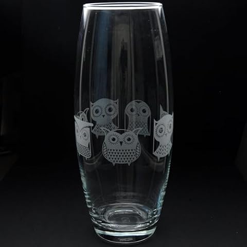 Hand Etched 'Cartoon Owl' Glass Vase Cover