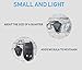 Finware 5 Pack Mini LED Keychain Flashlight, Ultra Bright Key Ring Light Torch, Batteries Included