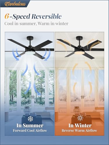 Image of Fanbulous 56 inch Outdoor Ceiling Fans with Lights, Dimmable 3CCT, Black