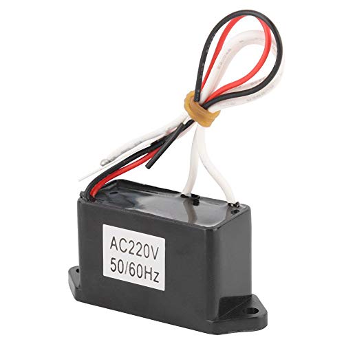 FILFEEL Generador de ozono, Herramienta de purificador de Aire DIY Densidad de Salida de ozono 200 MG para esterilizador de Aire de Agua en el hogar (2.52x0.91x1.18 Pulgadas)