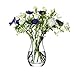 Produktbild LSA International Flower Kleine Bouquet Vase, Glass, Klar, Höhe 17,5 cm