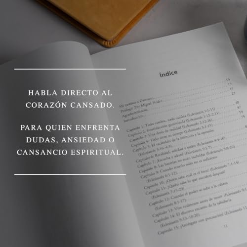 Image of La vida debajo del sol: El evangelio segun Eclesiastes (Spanish Edition)