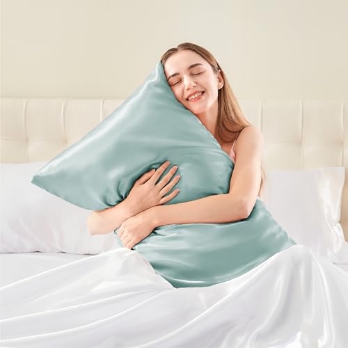 BEDELITE Satin Pillowcase with Zipper 2 Pack, Haze Blue Pillow Cases Standard Size, Super Soft and Cooling Similar to Silk Pillow Cases, Gift for Women Men(20x26 Inches)